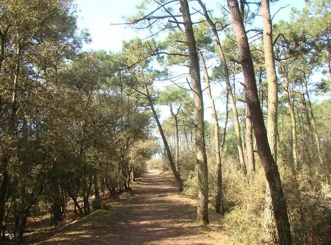 Διαμέρισμα Ile Au Pre Vue Et Golf Talmont-Saint-Hilaire