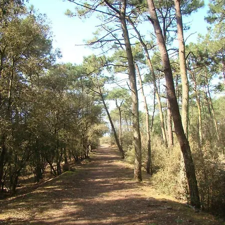 Lejlighed Ile Au Pre Vue Et Golf Talmont-Saint-Hilaire