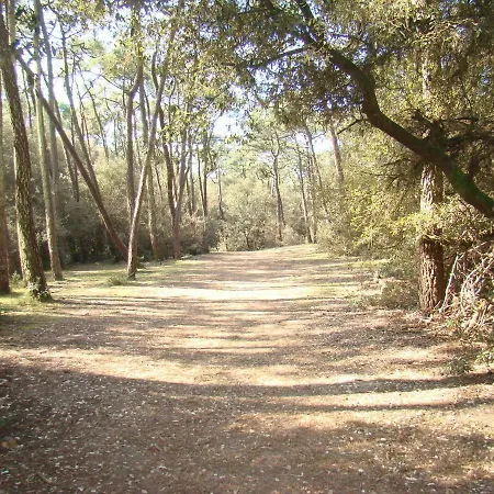 Ile Au Pre Vue Et Golf 아파트 Talmont-Saint-Hilaire
