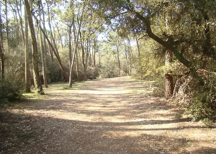 Ile Au Pre Vue Et Golf 公寓 Talmont-Saint-Hilaire